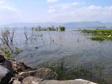 Le lac de Galilée